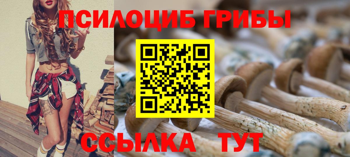 Верхний Уфалей  Псилоцибиновые грибы ЛСД  Вход с VPN 